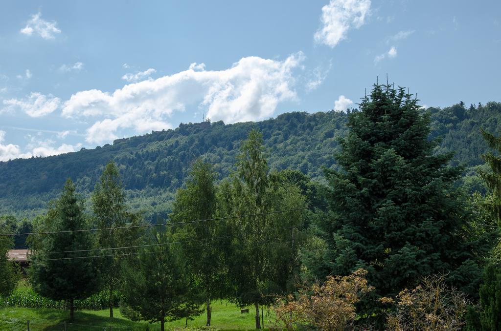 Meuble De Tourisme 3* Apartment ซาแวร์น ห้อง รูปภาพ